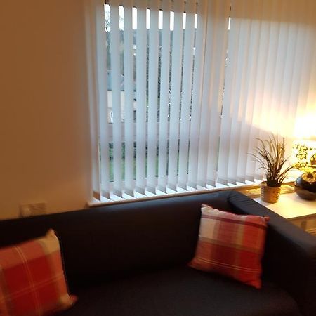 Bathgate Contractor And Business Apartment 外观 照片